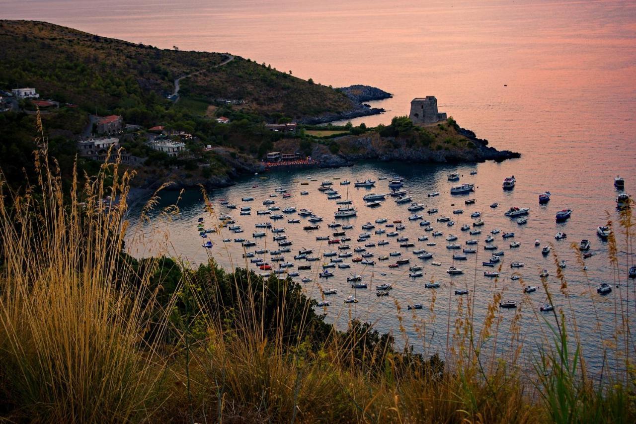 Villa La Ficuzza Cittadella del Capo Eksteriør bilde